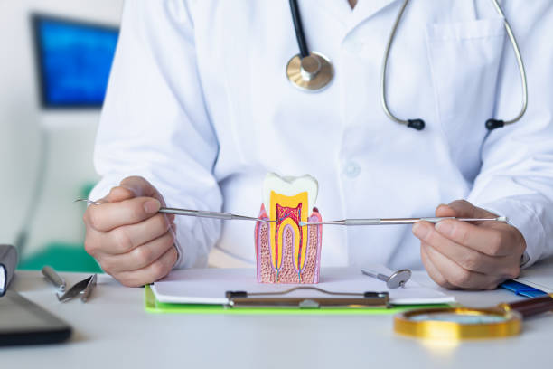 Best Emergency Broken Tooth Repair in Crugers, NY